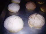 Conchas
