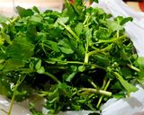 Foto langkah ke 1 dari resep Sayur Bening Selada Air.