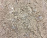 A picture of step 1 of Malai chocolate ice cream.