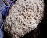 A picture of step 3 of Large Torta Bread.