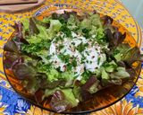 Une image de l'étape 8 de Salade feuille de chêne aux pignons de pin, mozzarella et persil.