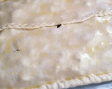 Foto del paso 9 de la receta: Empanada de pollo con foie gras de pato