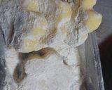 Foto langkah ke 4 dari resep 639. Japanese koroke.