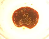 Foto del paso 1 de la receta: Almu a la S. Hackett...Defector