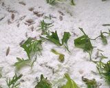 A picture of step 2 of Ricechapati#flourchallenge.