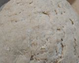 Foto del paso 3 de la receta: Tortitas mendocinas con harina integral y manteca