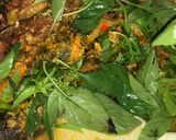 Foto langkah ke 5 dari resep Lele Kemangi Pedas Tanpa Santan🐟🌶️.