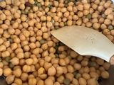 Tempeh đậu gà & đậu Hà Lan