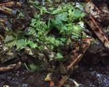 செட்டிநாடு நண்டு மசாலா (Chettinadu nandu masala recipe in tamil) ரெசிபி ஸ்டேப் 5 புகைப்படம்