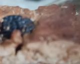 Foto del paso 6 de la receta: 🌻Pan de Pascua
