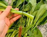 Hình bước làm 1 của món Cải ngọt xào tỏi