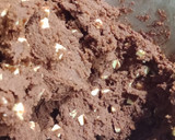 Foto del paso 3 de la receta: Galletas Red Velvet con chocolate blanco