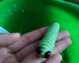 Foto langkah ke 3 dari resep Caterpillar Cookies.