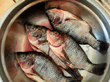 Ikan Nila Bakar Kecap