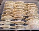 A picture of step 10 of Gyoza Dumplings with Alpine Leek.