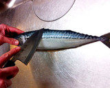 A picture of step 1 of How to Fillet a Whole Fish.