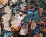Foto langkah ke 8 dari resep Semur Daging Tahu Kentang.