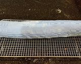 A picture of step 10 of Vanilla Cake Roll with Cranberry Mousse Filling.