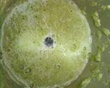 A picture of step 1 of Matar poori.