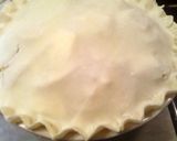 A picture of step 5 of sunshine 's apple pie.