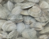 Foto del paso 1 de la receta: Judías blancas con langostinos y chirlas enfadadas