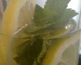 Foto del paso 6 de la receta: Agua de Mar isotónica con menta y limón