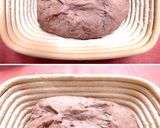 A picture of step 6 of Red Wine Pain de Campagne.