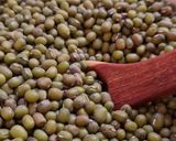 Foto del paso 1 de la receta: Brotes de mungo (mal llamados brotes de soja) 🌱 🫘