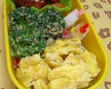 A picture of step 3 of Tamagoyaki Omelete with Shirasu and Green Onion.