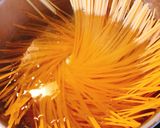 Φωτογραφία βήματος 1 της συνταγής Shrimp in love ❤️ pasta