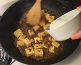 Mapo Tofu Braised silken tofu and ground beef with spicy sauce recipe step 4 photo