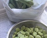 A picture of step 1 of How to Boil Fava Beans or Broad Beans.