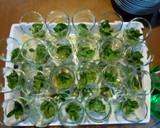 A picture of step 1 of Mojito Mocktail.