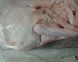 OolongTea Brined Smoked Duck recipe step 2 photo