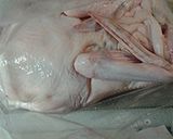 A picture of step 2 of OolongTea Brined Smoked Duck.