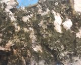 Foto del paso 1 de la receta: Ñoquis de acelga