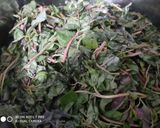 A picture of step 2 of Aloo cholai Amaranth.