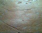 A picture of step 7 of Chocolate Ice Cream Roll Cake.