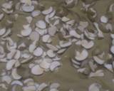 Kabuli chanapickle recipe step 3 photo