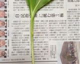 A picture of step 2 of Gyoza Dumplings with Alpine Leek.