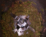 Foto del paso 2 de la receta: Paté de aguacate y atún