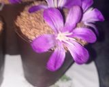 عکس مرحله 6 از دستور دسر گلدانی (مخصوص روز دختر)