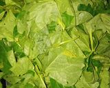 Foto langkah ke 6 dari resep Sayur Bayung Ala-ala.