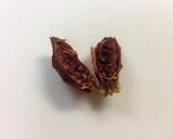 A picture of step 3 of Chestnuts Cooked in Syrup.