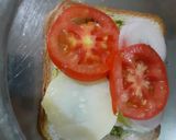 વેજીટેબલ સેન્ડવીચ (Vegetable Sandwich Recipe In Gujarati) રેસીપી સ્ટેપ2ફોટો