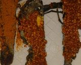 Foto del paso 3 de la receta: Langostinos