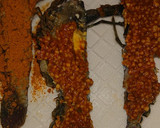 Foto del paso 3 de la receta: Langostinos