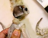 A picture of step 7 of How To Clean Squid - You Can Eat The Legs and Liver, Too!.