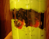 A picture of step 2 of Monster Eyes n Slime Oreo Layered Dessert ~ halloween.