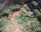 Foto del paso 3 de la receta: Masa de pizza vegana de zanahoria y quinoa/ espinaca y quinoa